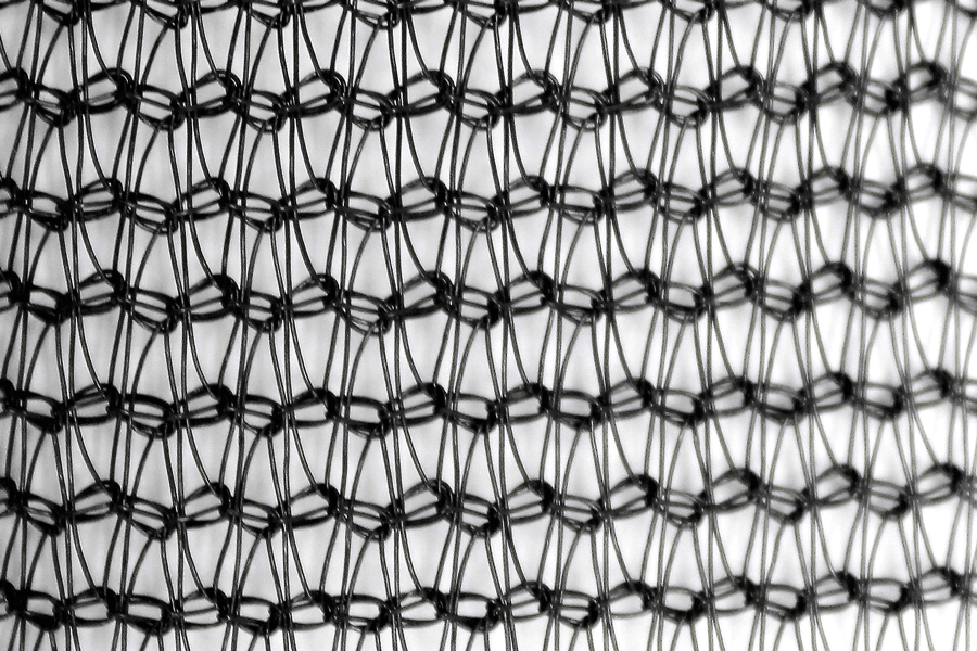 LDO-0.125-BK-FR, Leon De Oro ,8888332634